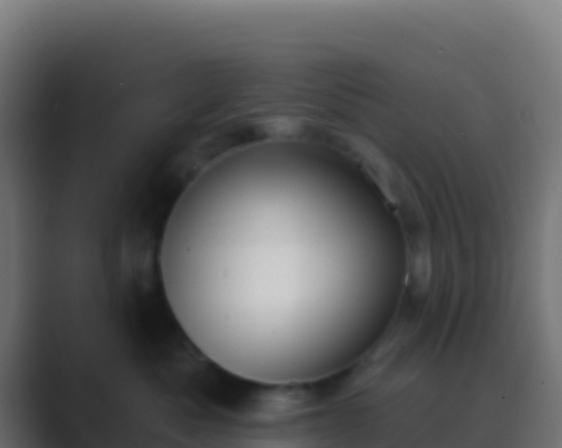 X0000089740525200706281610