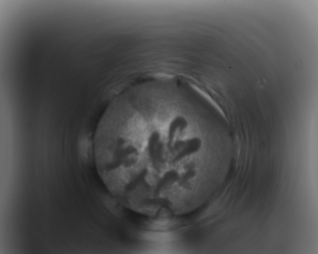 X0000089740527200706281610