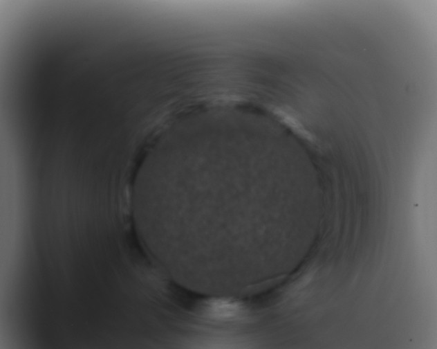 X0000089740528200706281610