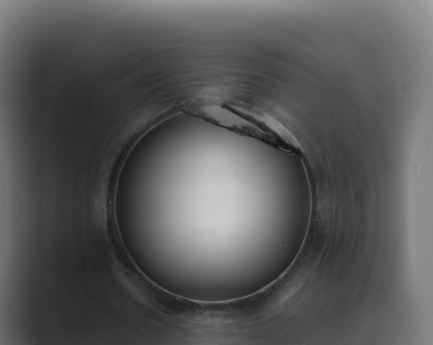 X0000089740530200706281609