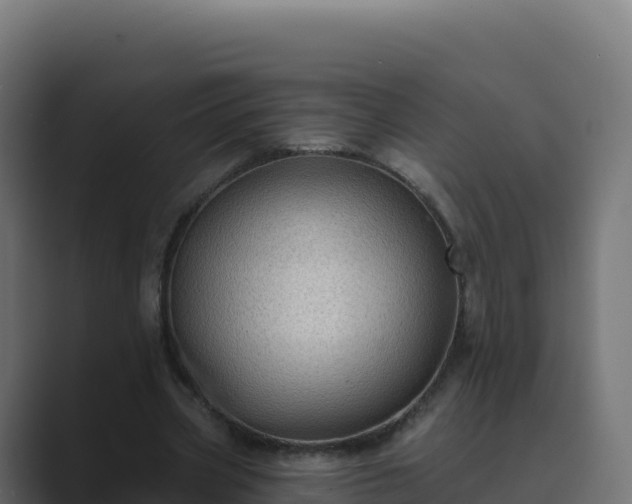 X0000089740533200706281609