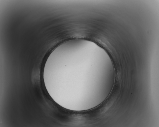 X0000089740534200706281609