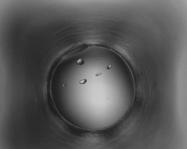 X0000089740535200706281609