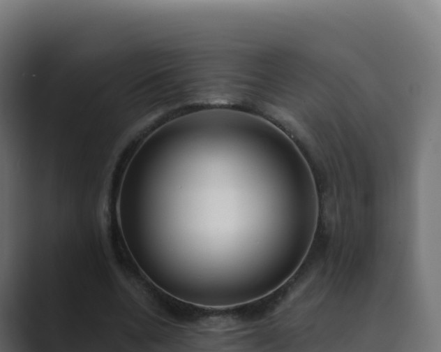 X0000089740536200706281609