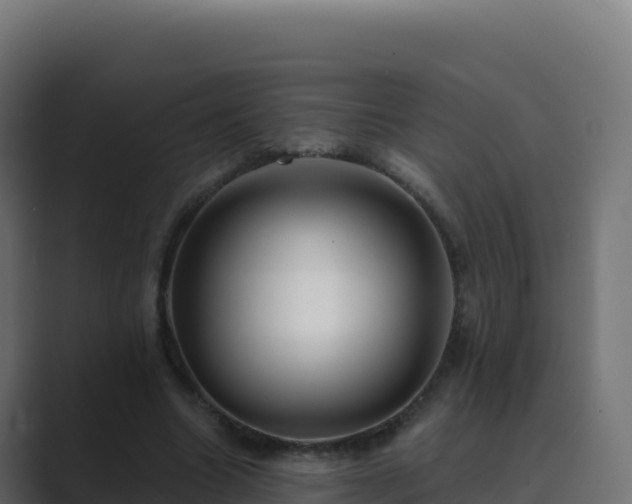 X0000089740538200706281609