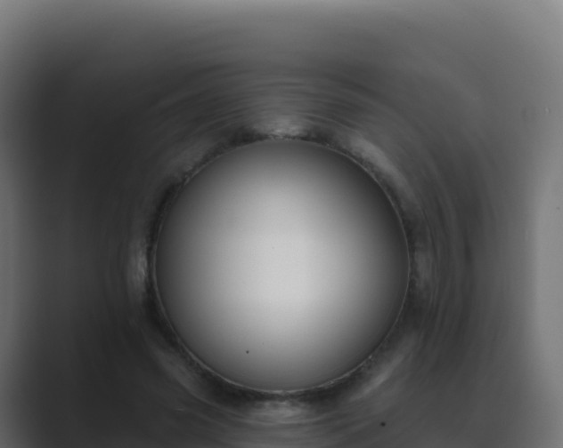 X0000089740541200706281609