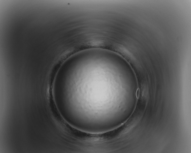 X0000089740542200706281609