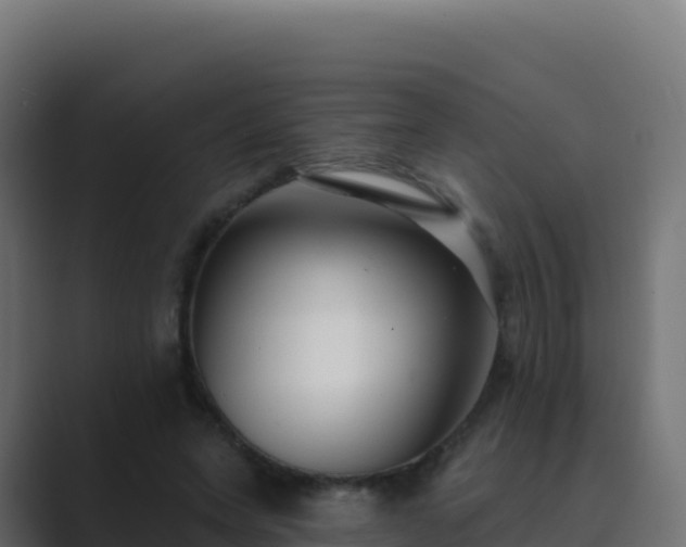 X0000089740543200706281609