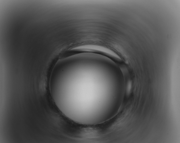 X0000089740544200706281609