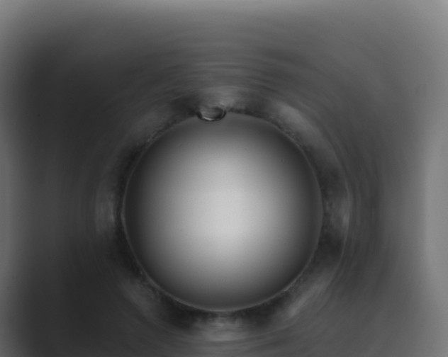 X0000089740546200706281609