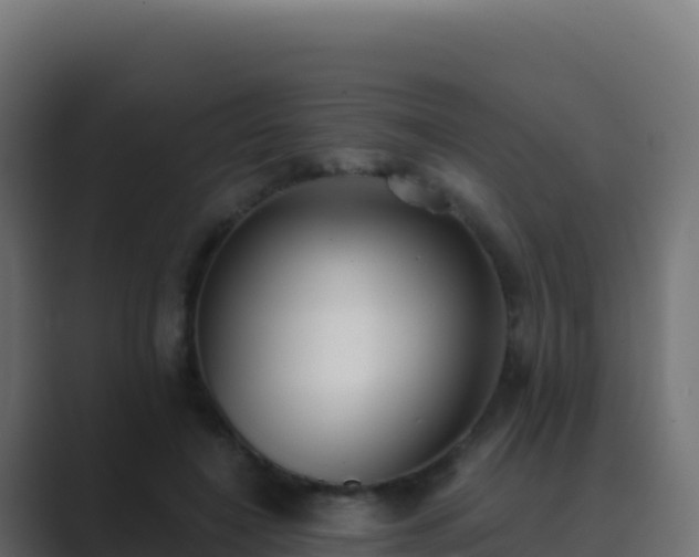 X0000089740548200706281609