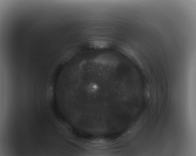 X0000089740551200706281609