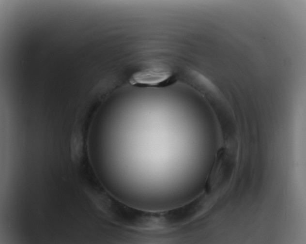 X0000089740552200706281609