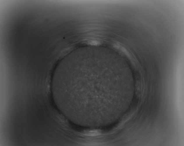 X0000089740553200706281609