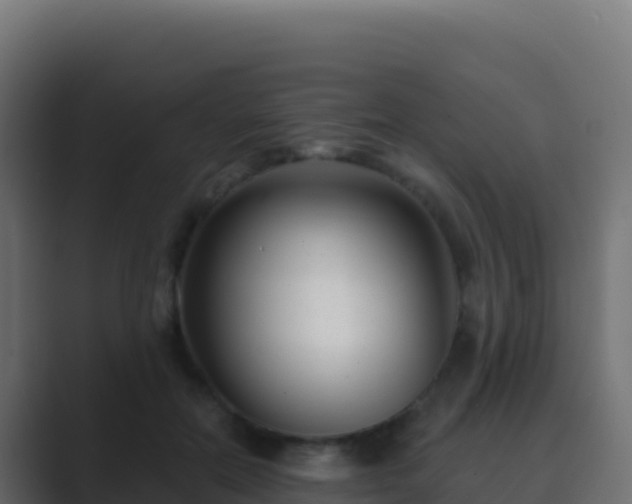 X0000089740554200706281609