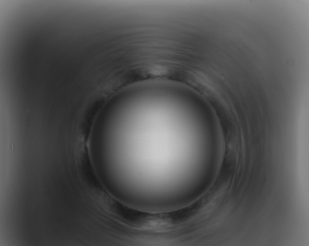 X0000089740555200706281609