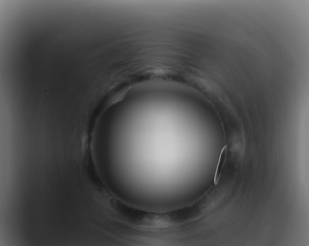 X0000089740559200706281609