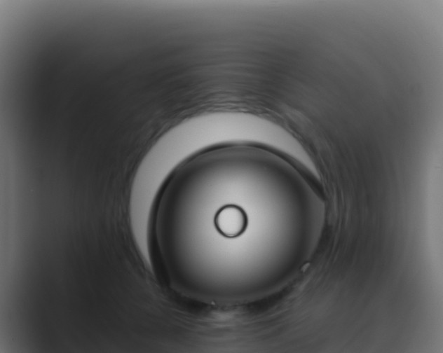 X0000089740560200706281609