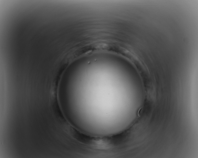 X0000089740561200706281609