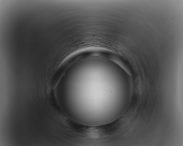 X0000089740562200706281609