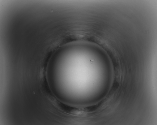 X0000089740563200706281609