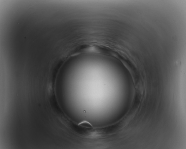 X0000089740564200706281609