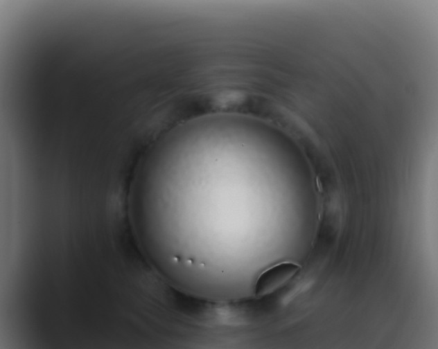 X0000089740565200706281609