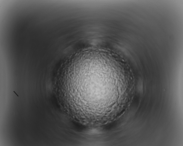 X0000089740569200706281609