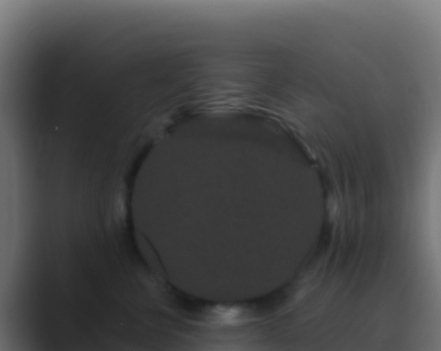 X0000089740570200706281609