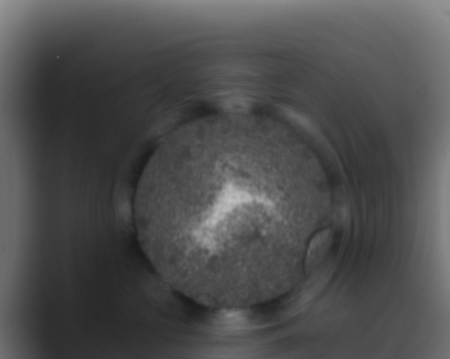 X0000089740573200706281610