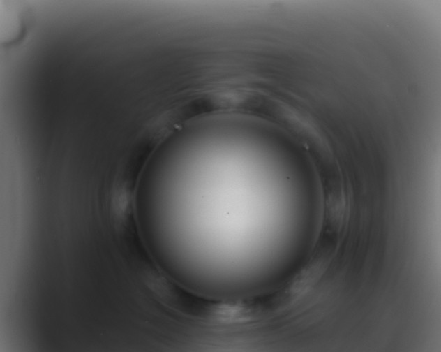 X0000089740574200706281610