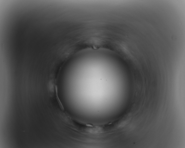 X0000089740576200706281610