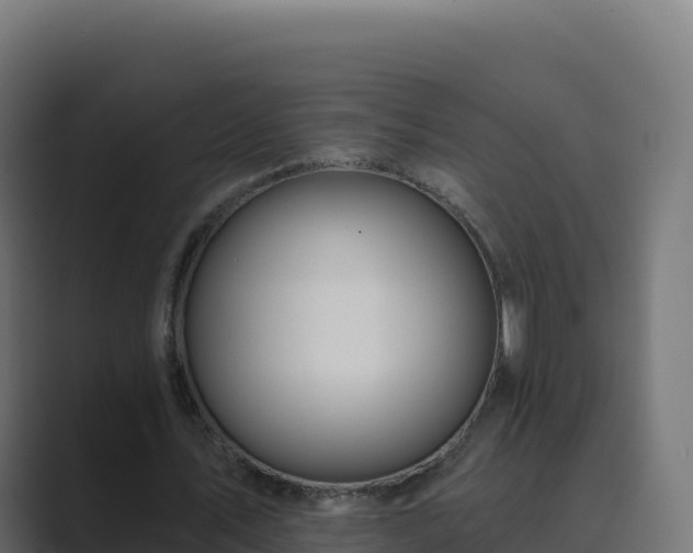 X0000089740579200706281609