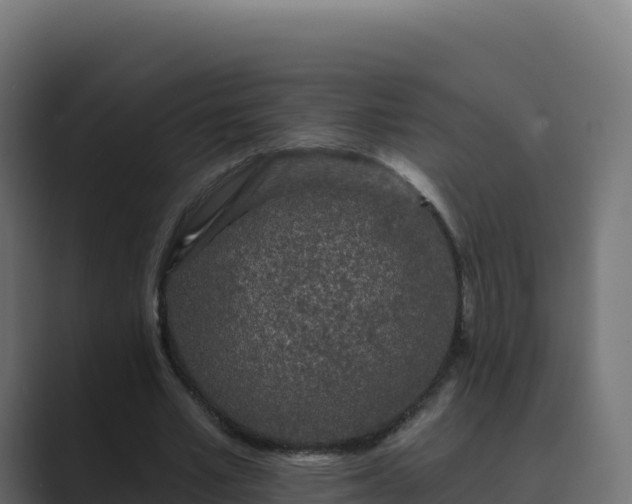 X0000089740581200706281609