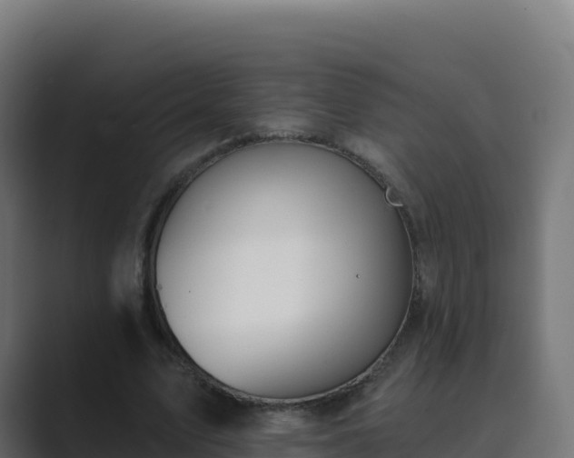 X0000089740583200706281609