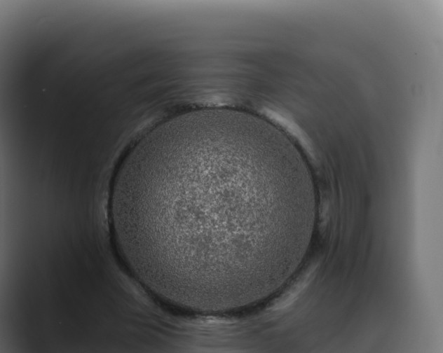 X0000089740585200706281609