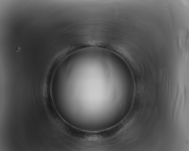 X0000089740587200706281609