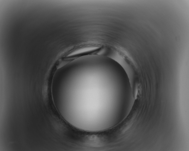 X0000089740588200706281609