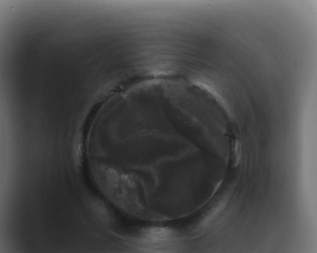 X0000089740590200706281609