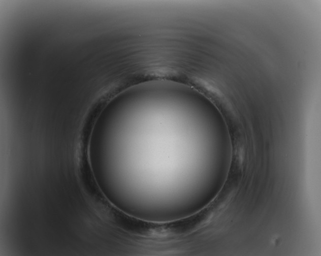 X0000089740591200706281609