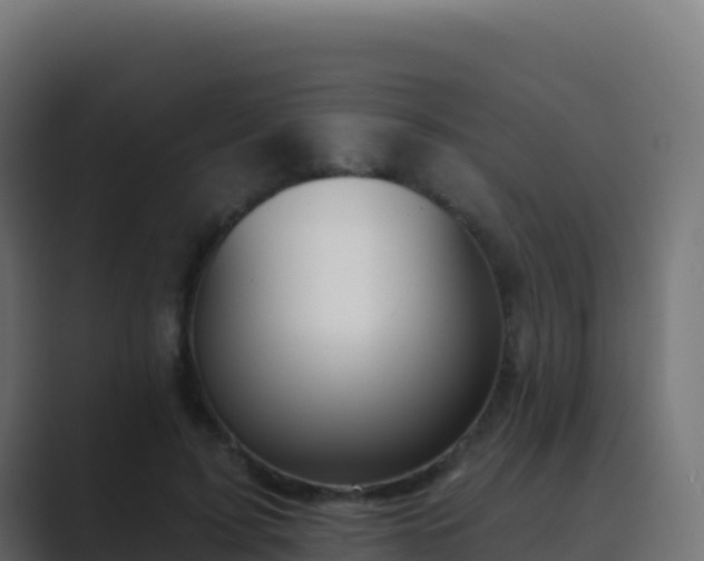 X0000089740595200706281609