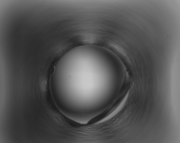 X0000089740596200706281609