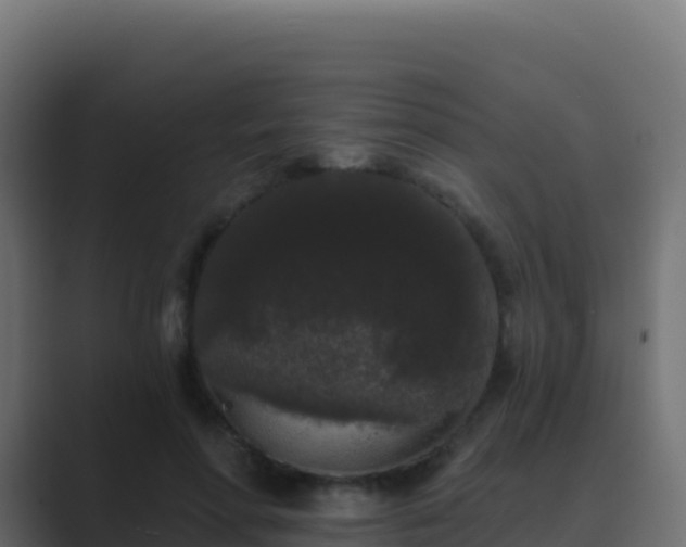 X0000089740598200706281609