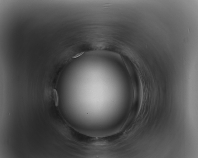 X0000089740601200706281609