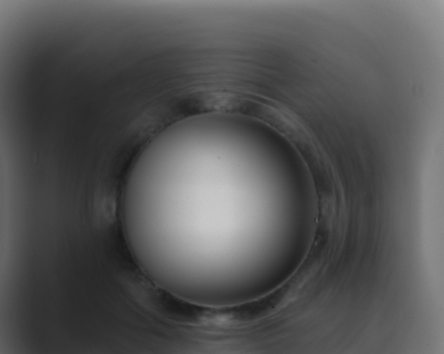 X0000089740602200706281609