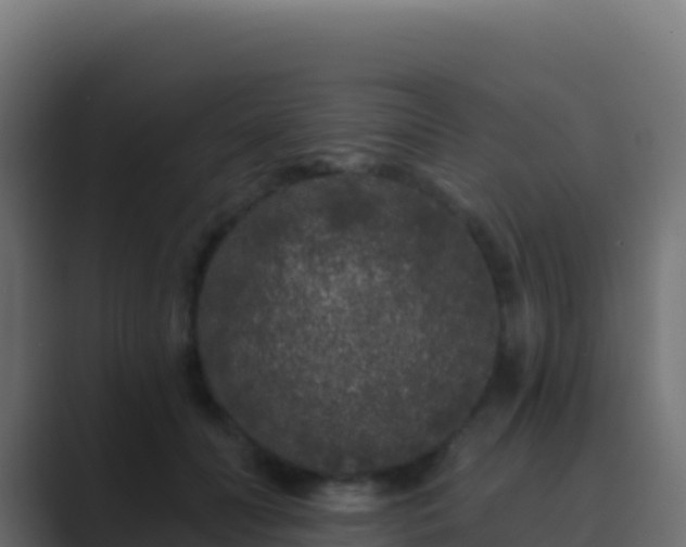 X0000089740606200706281609