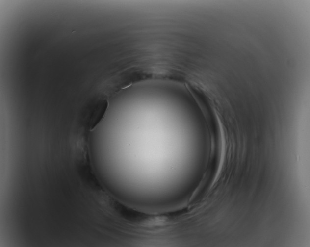 X0000089740609200706281609