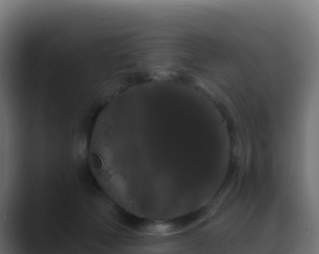 X0000089740610200706281609