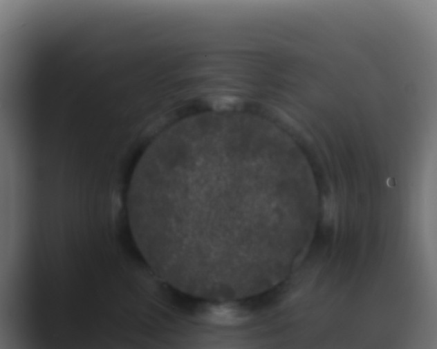 X0000089740618200706281609