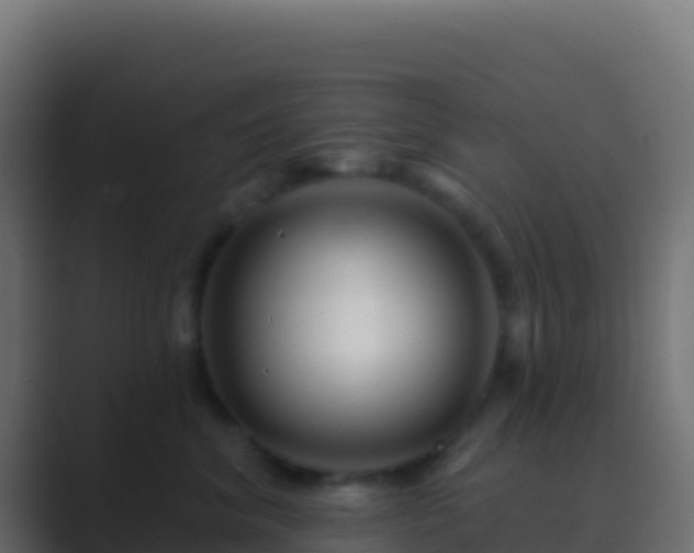 X0000089740620200706281609